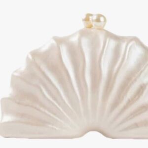 Acrylic Shell Clutch